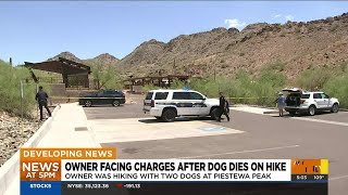 Hiker cited after dog dies on Phoenix mountain trail