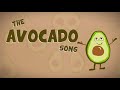 The avocado song official lyric