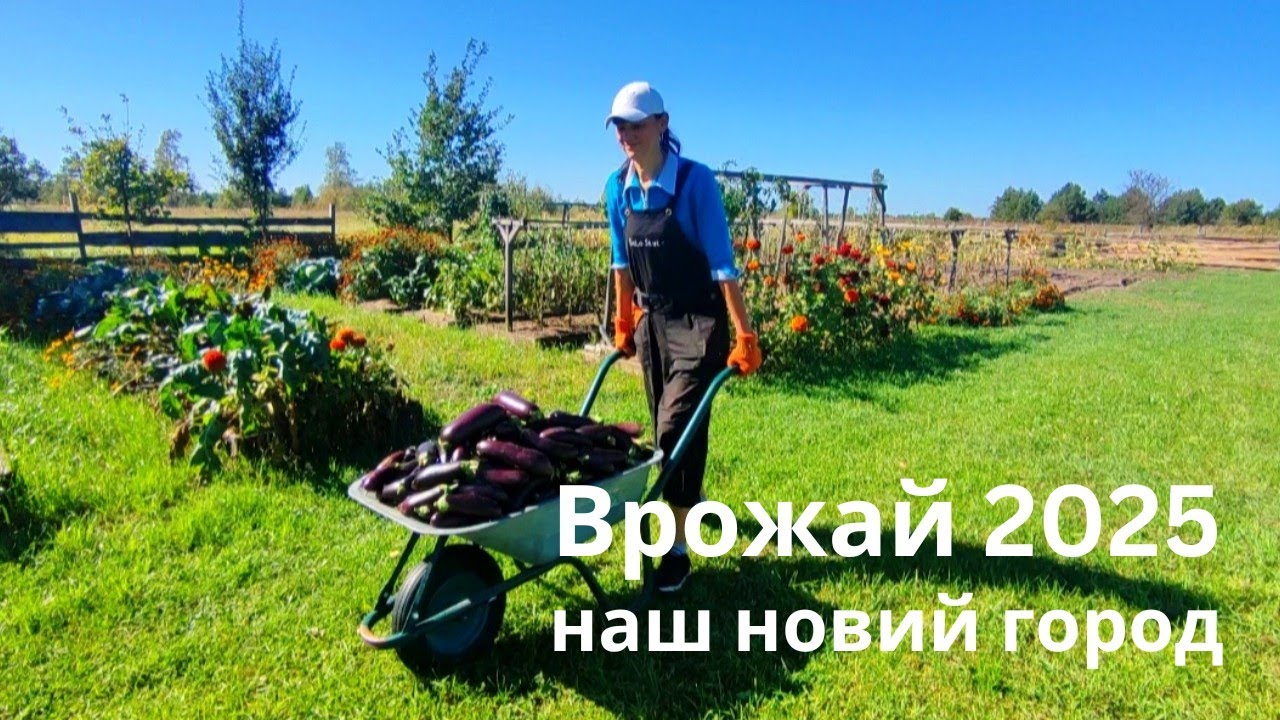 Смарт-город 2 сотки: ВРОЖАЙ ЯК З ГЕКТАРА!