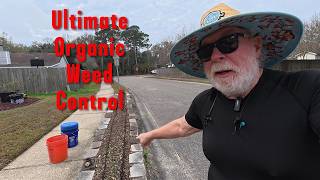 Episode 319: How to Control Weeds Organically in Your Hell Strip (Before They Set Seed)