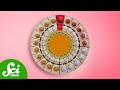 Understanding Menstrual Suppression and Contraception