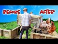 BEFORE | AFTER (Chicken Tractor)