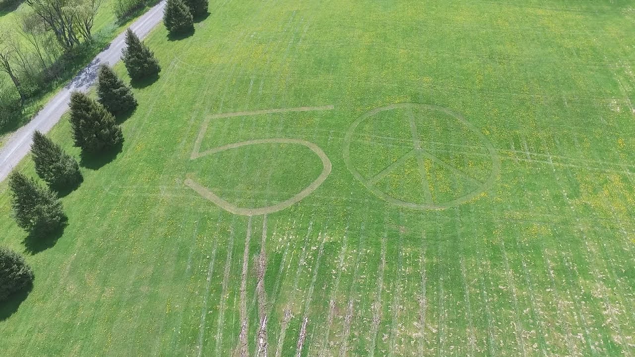 Woodstock's Social Legacy