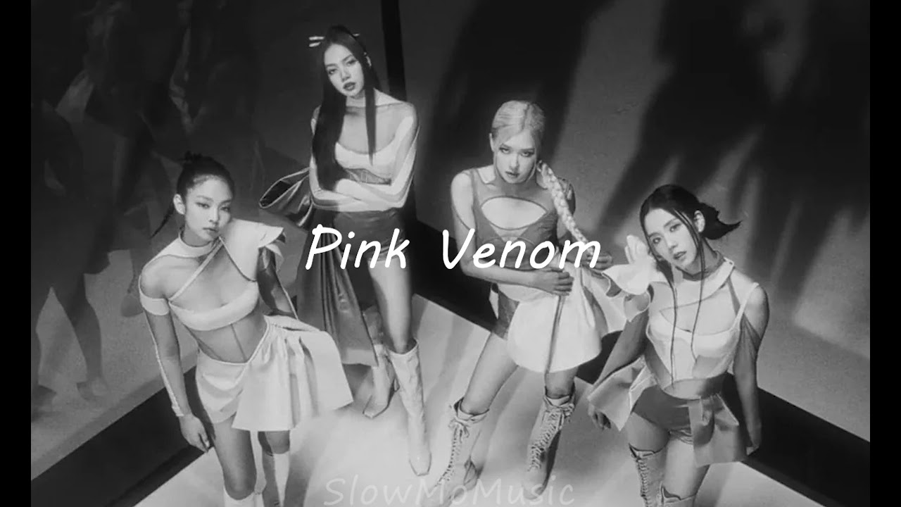 Blackpink - Pink Venom (Instrumental) (Slowed & Reverb) 1 hour loop