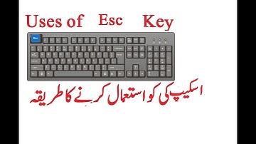 What is the function of the ESC Key in Keyboard? | English Subtitles | Lunar Computer College