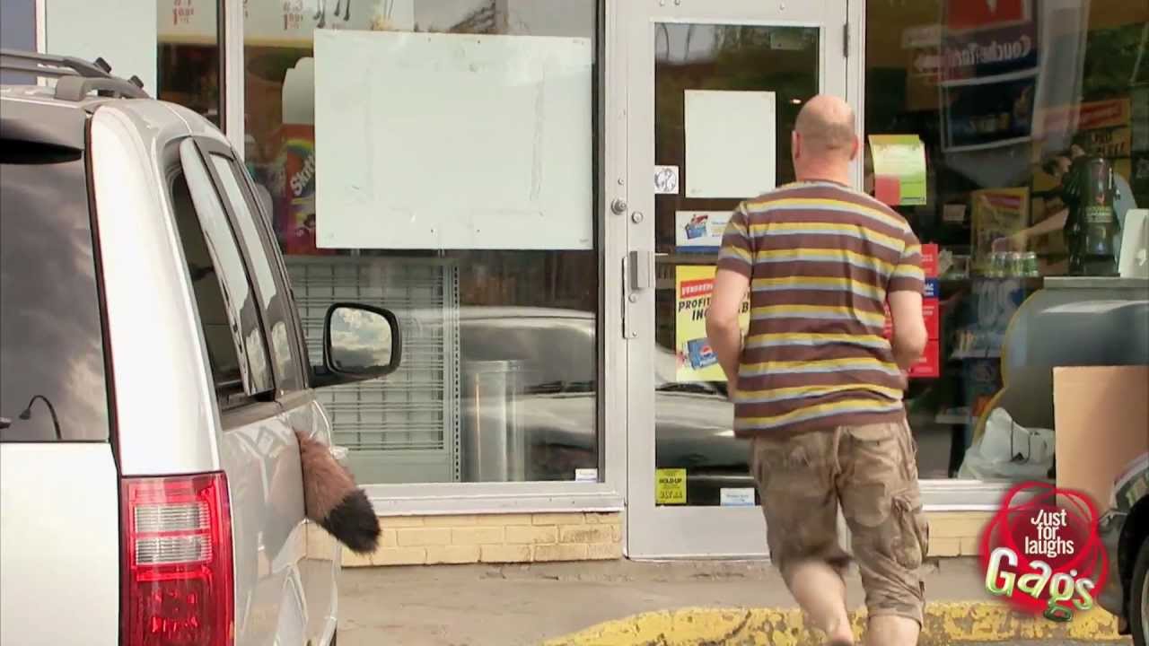 Puppy Gets Tail Stuck In Car Door YouTube