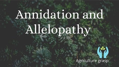 Annidation and Allelopathy