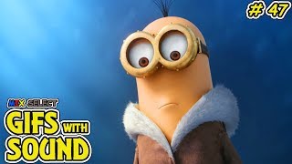 Gifs With Sound Compilation #47 | Mix Select