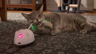 Michael and Ming and the Robot Mouse by Michael and Ming 622 views 1 year ago 5 minutes, 11 seconds