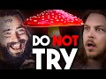 Amanita muscaria did me dirty at the post malone concert trip report