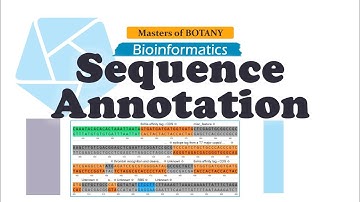 Bioinformatics | Sequence Annotation | With Notes