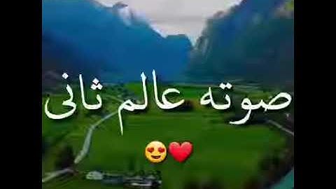القارئ طارق محمد