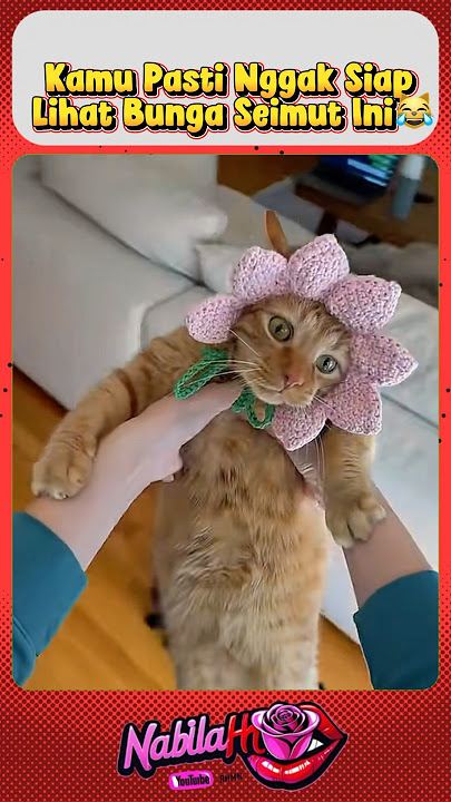 Baru 3 Detik Lihat  Ini, Aku Langsung Tersenyum Sendiri!😹 #viralvideo #trending #shorts