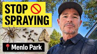 Menlo Park Pest Problems? Here’s What ACTUALLY Works, According to a Local Exterminator
