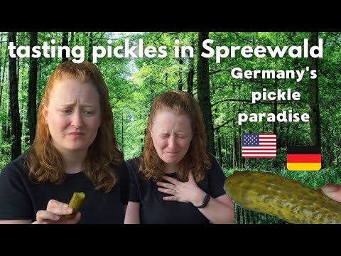 Video: El mejor encurtido de Alemania: Spreewaldgurken