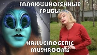 Галлюциногенные грибы - Грибы с Межжериной #03 Галлюциногенные грибы - Грибы с Межжериной #03