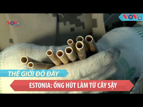 Video: Những Gì Có Thể được Làm Từ Lau Sậy