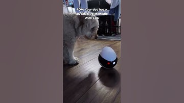 Ebo SE Robot  #ebo #Enabot #robot #petmonitoring #futureoftech #companion #ad