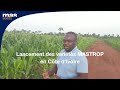 2020  lancement de mastrop  varits de mas mas seeds cte divoire