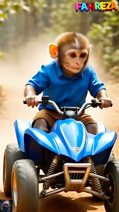 Monyet dan mobik atv biru,monkey,atv,bandar,beruk,doger monyet,monyet,ketek,kera,mobil mobilan