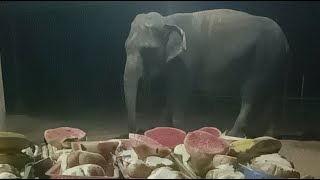 ไลฟ์2 สู้ๆ 🍉🍌 ตกงาน3เชือก เมตตาด้วยค่ะ