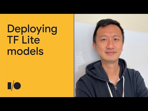 Easily deploy TF Lite models to the web | Demo