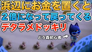 【あつ森/ドッキリ】どう森初心者に超デタラメなドッキリをしてみたwwwww【あつまれどうぶつの森】