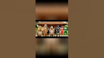 Capybara và bà Capy và đám bạn nổi tiếng #funny #capybara