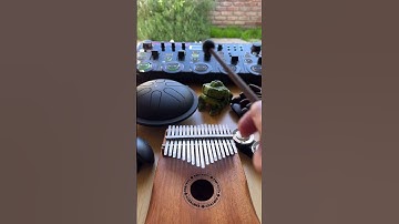 Thumbnail of Percussion Loop on the Boss RC-505 #livelooping #bossrc505 #shorts