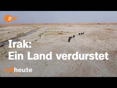 Klimakrise im Irak - Menschen flüchten vor Dürre | auslandsjournal