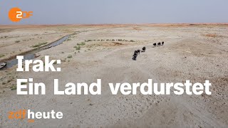 Klimakrise im Irak - Menschen flüchten vor Dürre | auslandsjournal