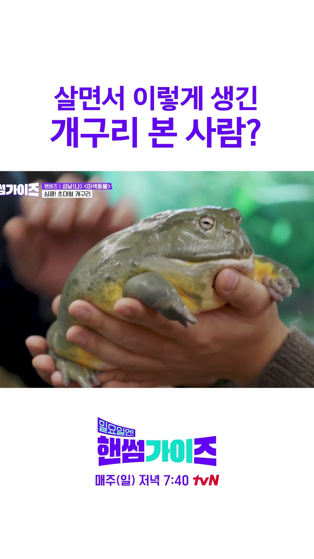 일단 나는 못 만짐 #일요일엔핸썸가이즈