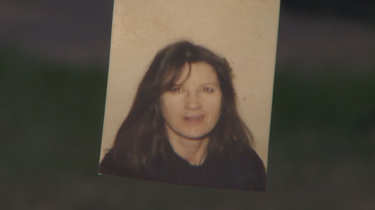 Man Accused of Hitting and Killing Woman Appears in Court - YouTube