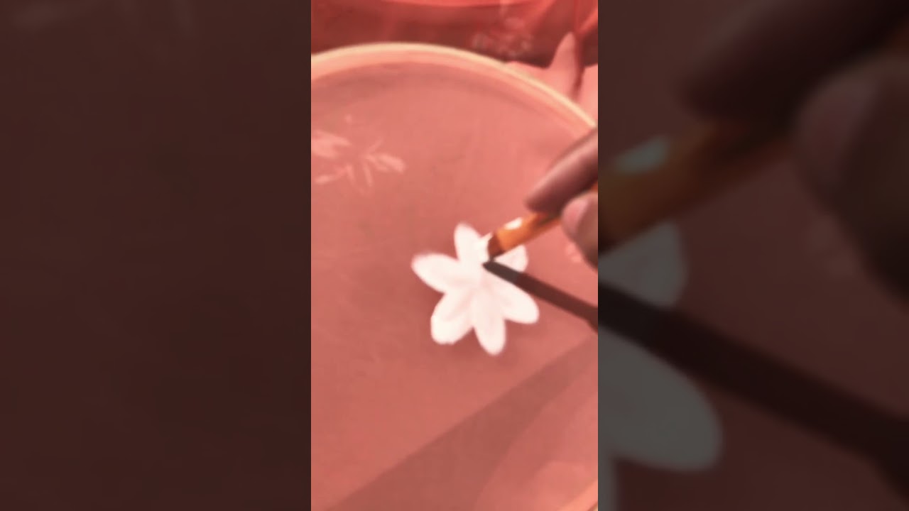 Paint on georgette fabric 