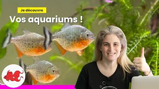 Je découvre vos aquariums !? 🤔