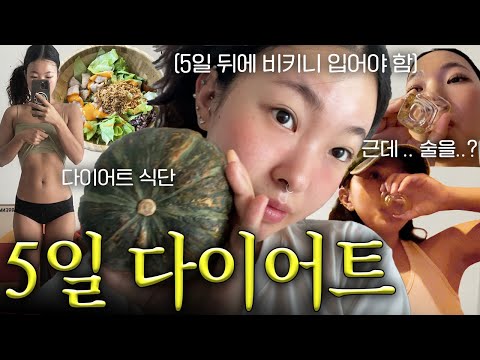 5일동안 다이어트 브이로그.. 근데 술을 못참는...🥹 집에서 해먹는 식단 모음🥗✨