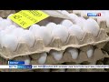 ФАС предложила торговым сетям делать наценку на куриные яйца не более 5%