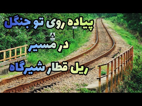 پیاده روی در جنگل بکر و زیبای شیرگاه مازندران طبیعت جنگل پیاده روی جنگل گردی صدای رودخانه صدا