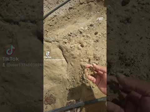 التربة الرملية
