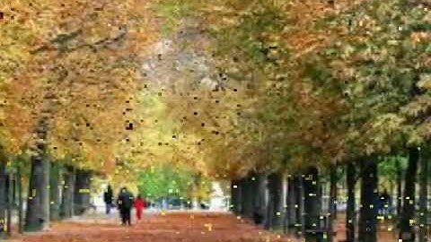 Hà Nội Một Trái Tim Hồng. Tác giả Nguyễn Đức Toàn, Ca sĩ Mai Hoa Video Trần Cương Thiết.