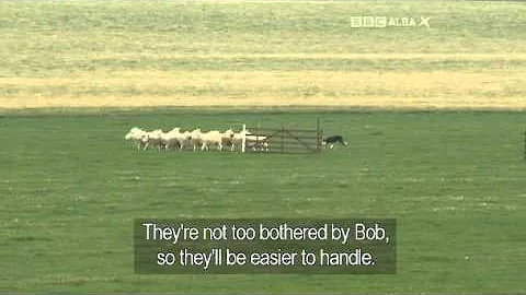 Michael Shearer & Bob