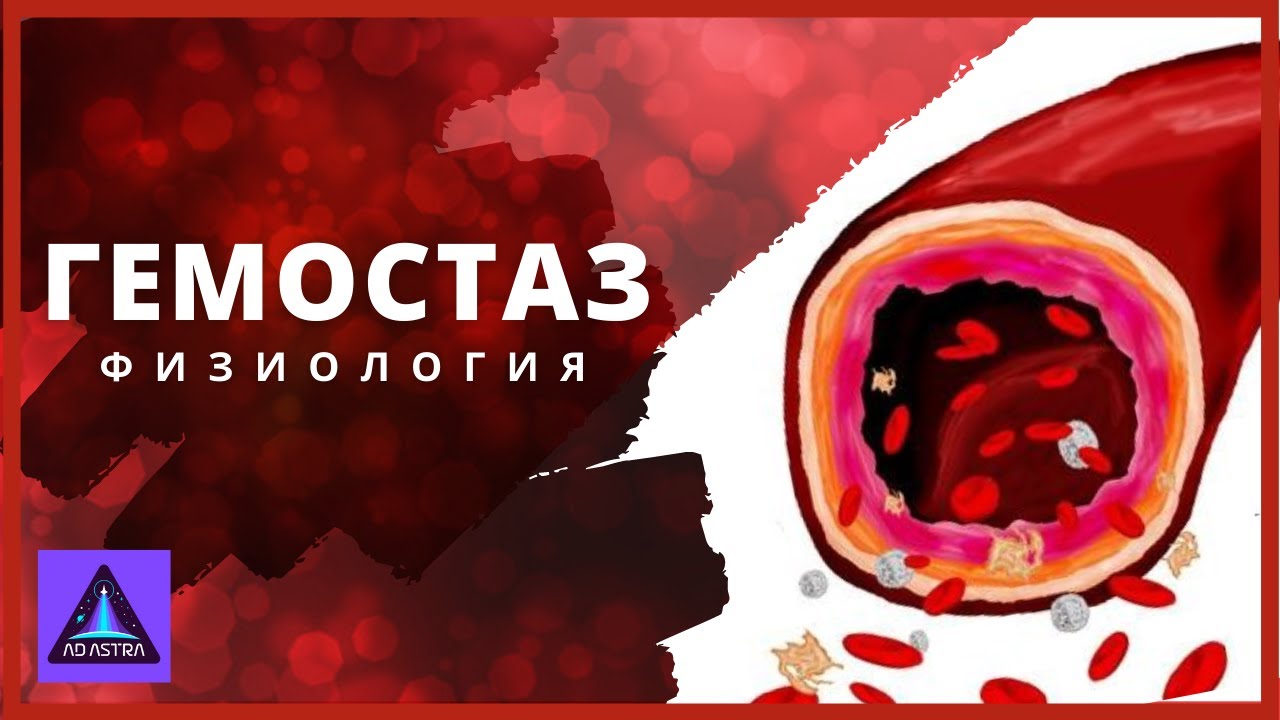 ФИЗИОЛОГИЯ: ГЕМОСТАЗ (узб) | FIZIOLOGIYA: GEMOSTAZ