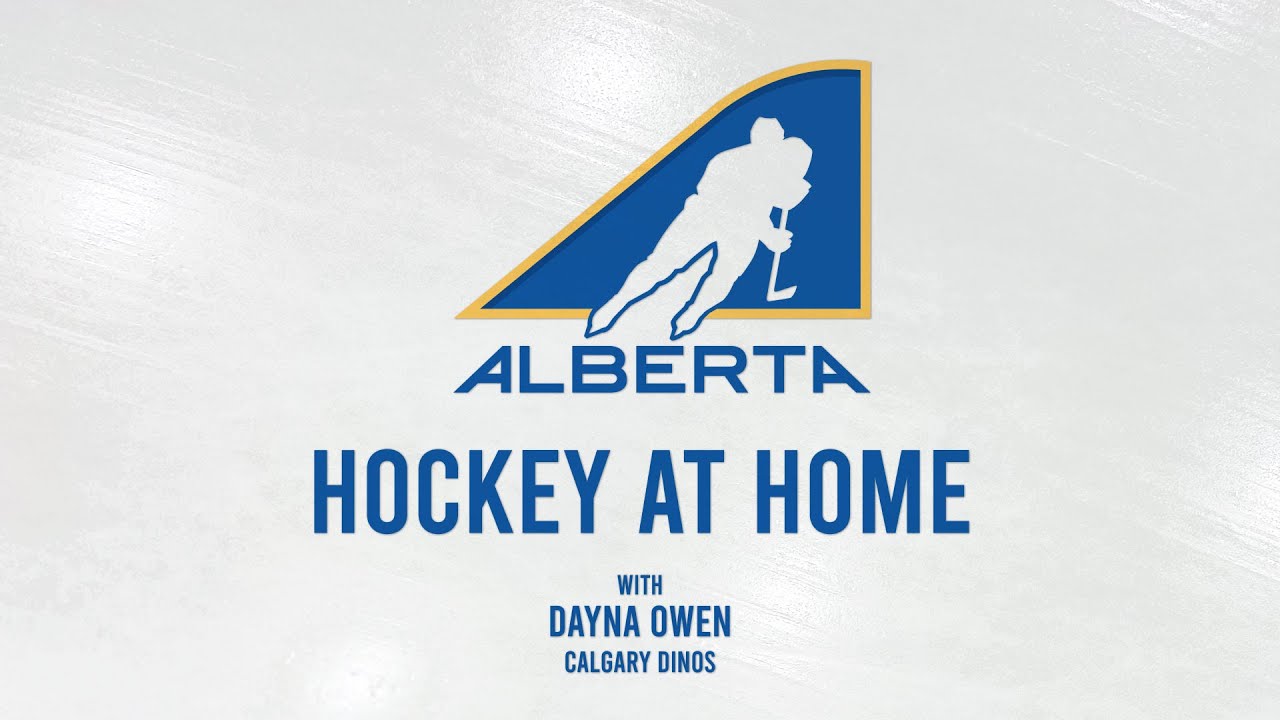 Hockey At Home Goalie Skills - Recoveries & Crease Movement