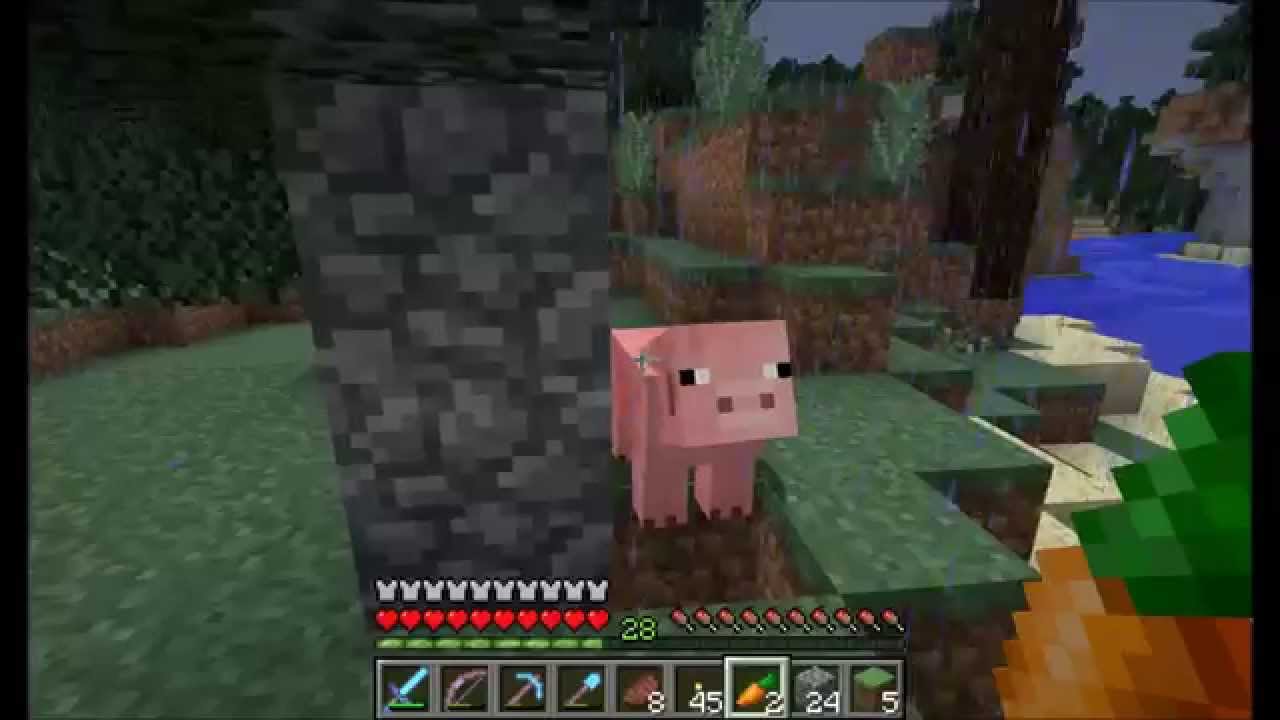 JSano Fan Server - Pigtopia camera iphone 8 plus apk