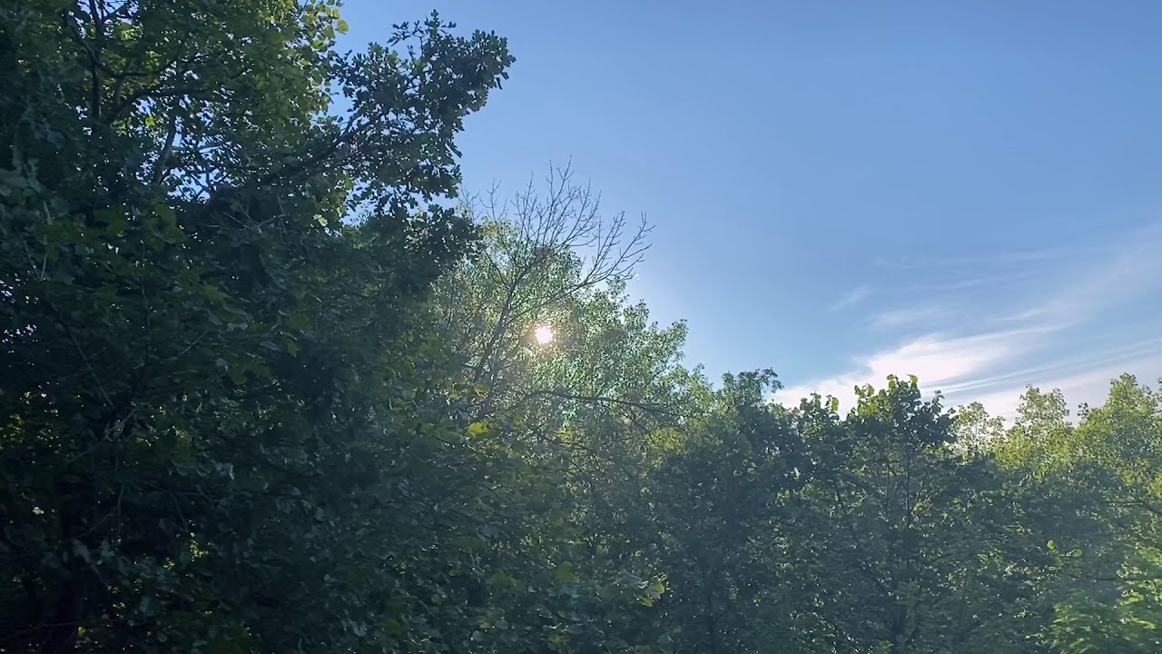 Watch LAZERBEAK - "Treetops" (Meditation Visualizer) on YouTube Watch LAZERBEAK - "Treetops" (Meditation Visualizer) on YouTube