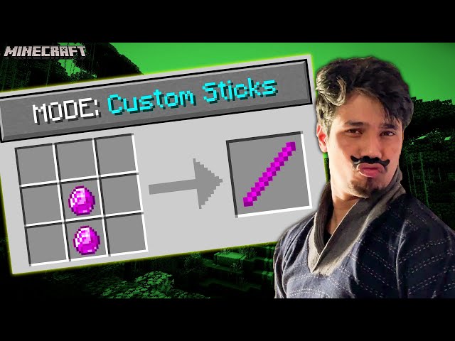 Minecraft But, You Get Custom Sticks class=