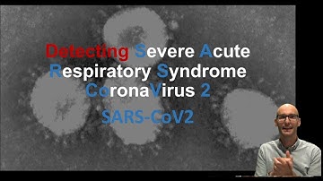 How do we detect SARS CoV2 (COVID19) using PCR!