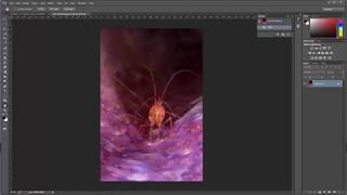 MAT131: Photo basics