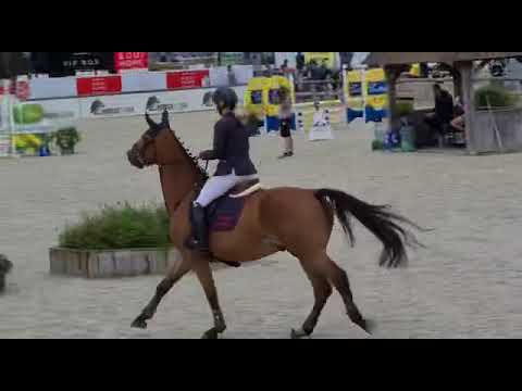 Riki van de helftdreve clear round euroregio 2021
