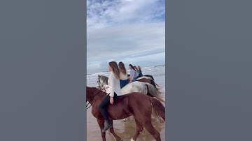 Horse riding bareback by a beautiful 5 ladies on sea beach #horseriding #shorts #bareback